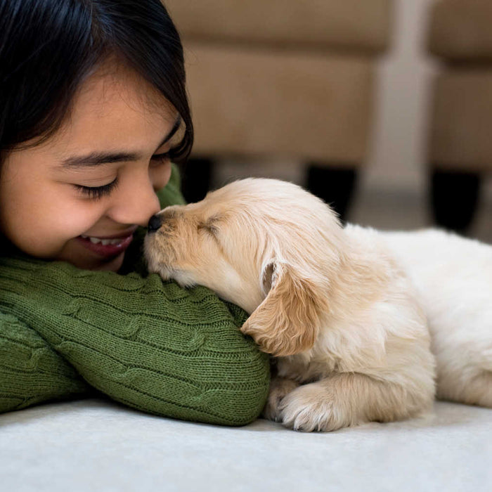 7 Reasons Why Pets Are Important When You Are Raising Kids