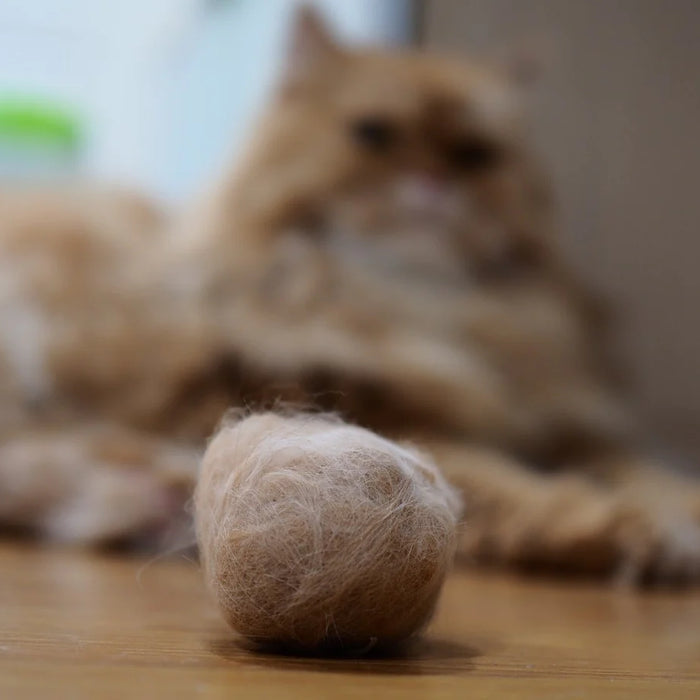 Cat Hairball Prevention and Precautions: Keeping Your Feline Friend Healthy