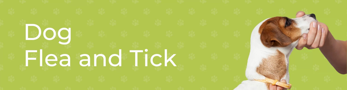 Dog Tick & Flea Solution