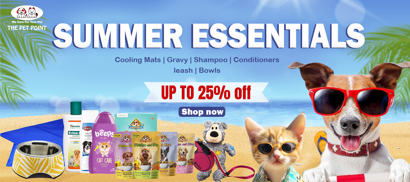 Summer essentials for pets