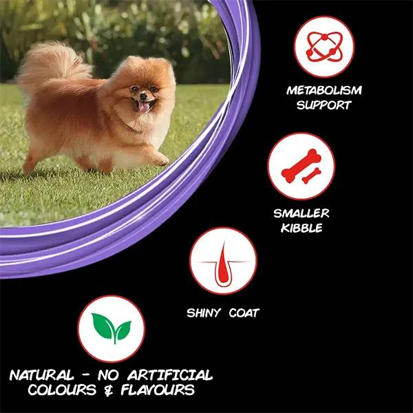 SUPERCOAT SMALL BREED ADULT CHICKEN 3KG