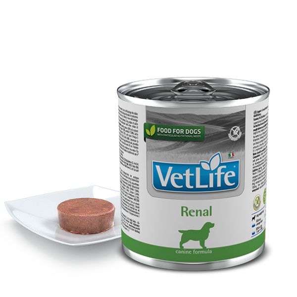 VET LIFE DOG RENAL WET FOOD 300GMS(pack of 6)