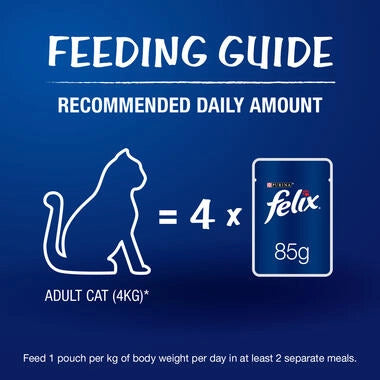 PURINA FELIX WITH SARDINE IN JELLY ADULT WET CAT FOOD 85GM