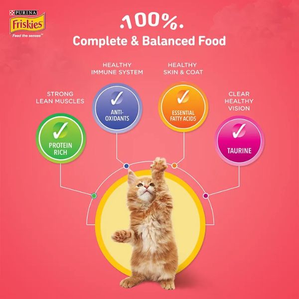 PURINA FRISKIES KITTEN DRY CAT FOOD 1.1KG