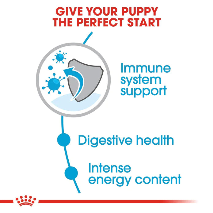 ROYAL CANIN MINI PUPPY 800GM