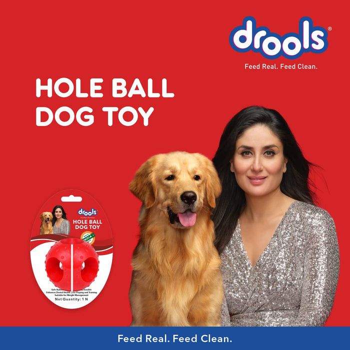 Drools Non-Toxic Rubber Hole Ball Chew Toy, Puppy/Dog Teething Toy - 3 inches
