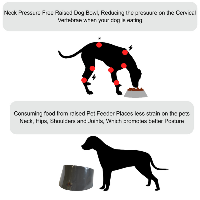 Nootie Grey Solid Melamine Slant Food & Water Feeder Bowl For Dogs/Cat