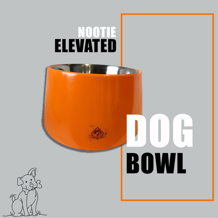 Nootie Orange Solid Melamine Slant Food & Water Feeder Bowl For Dogs/Cat