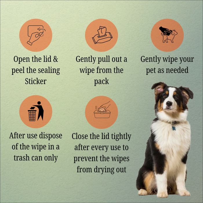 Nootie Wet Pet Wipes 100 Pulls , Suitable for Cats & Dogs