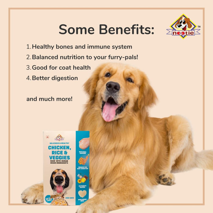 Nootie Freshly Wholesome Wet Dog Food (300g) | Chicken Pulao with Human-Grade Ingredients & Gluten-Free Formula