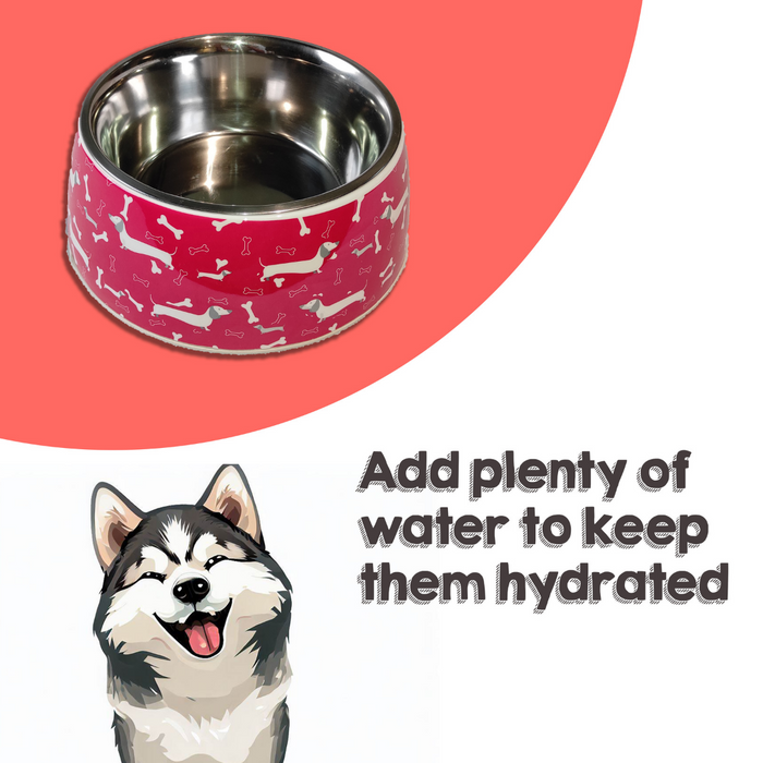 Nootie Red Dachshund Dog & Bone Printed Stainless Steel Non Skid Bowl For Dog/Cat