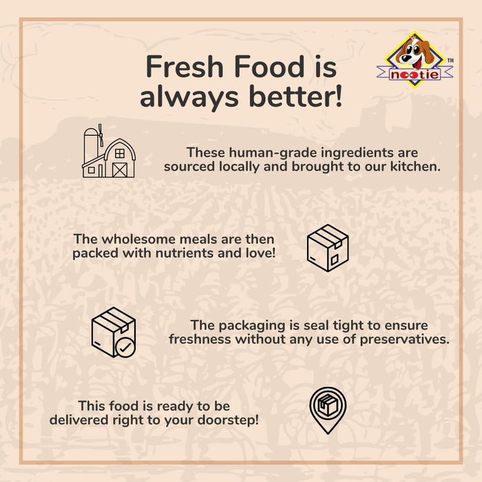 Nootie Freshly Wholesome Wet Dog Food (300g) | Chicken Pulao with Human-Grade Ingredients & Gluten-Free Formula
