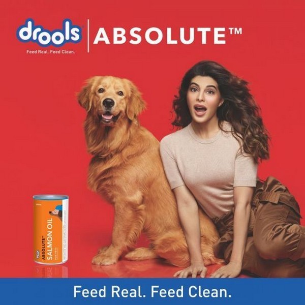 DROOLS ABSOLUTE SALMON OIL 300 ML