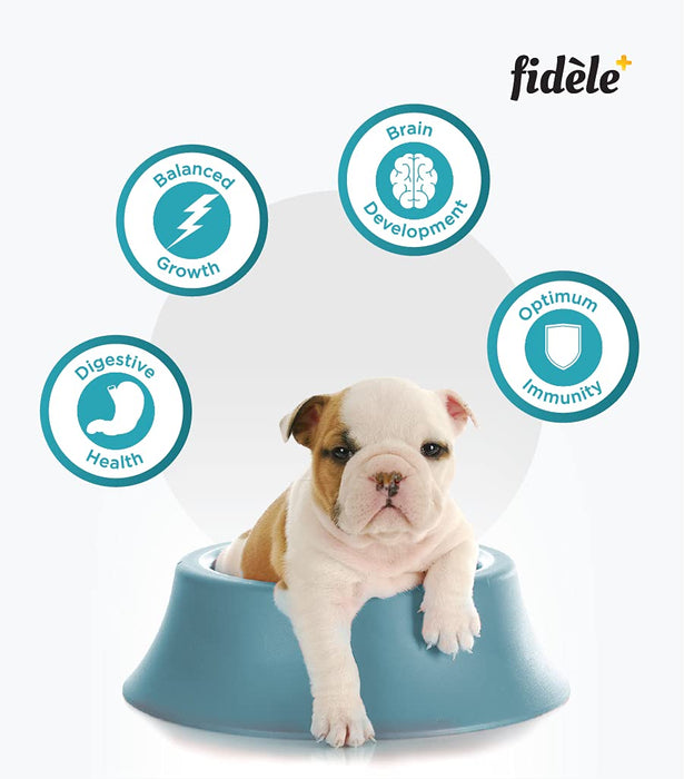 Fidele Dry Dog Food Starter Puppy 3-Kg