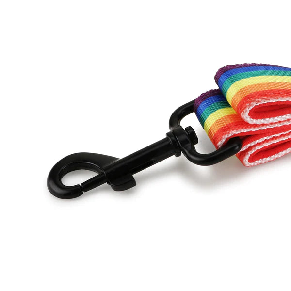 BASIL Pride Rainbow Padded Leash for Dogs & Puppies