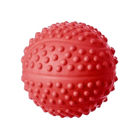 Nootie x Nunbell Spike Bounce Ball | Lightweight+ High Bounce + Easy to Clean |Gentle on Teeth+ Gums | Floats in Water | Head Tilting Squeak Dogs