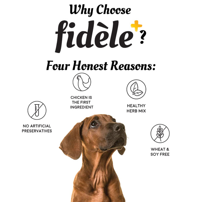 Fidele Dry Dog Food Starter Puppy 1-Kg