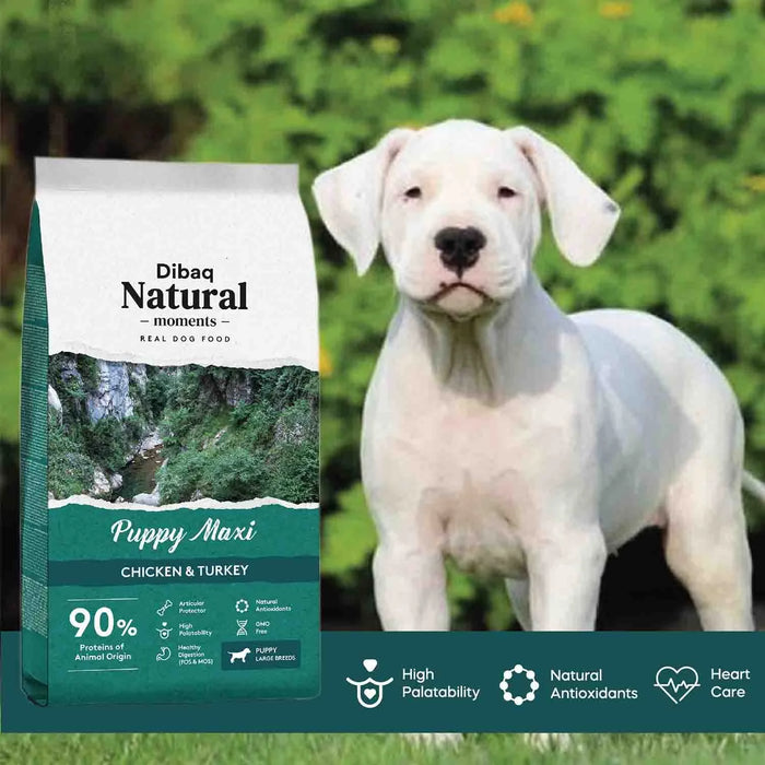 Dibaq Natural Moment Puppy Maxi Chicken & Turkey 15kg