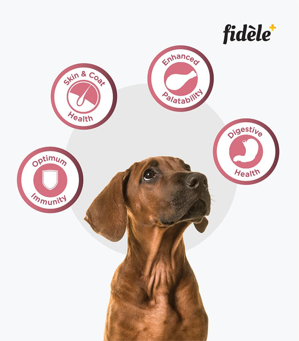 Fidele Dry Dog Food Small & Medium Puppy 3-Kg