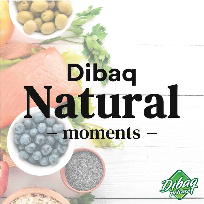 Dibaq Natural Moment Puppy Maxi Chicken & Turkey 15kg