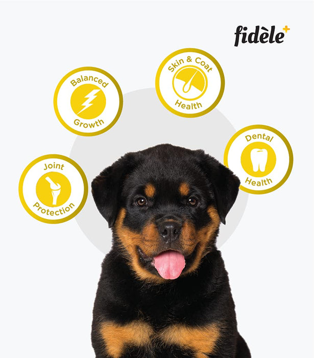 Fidele Dry Dog Food Large Puppy 1-Kg
