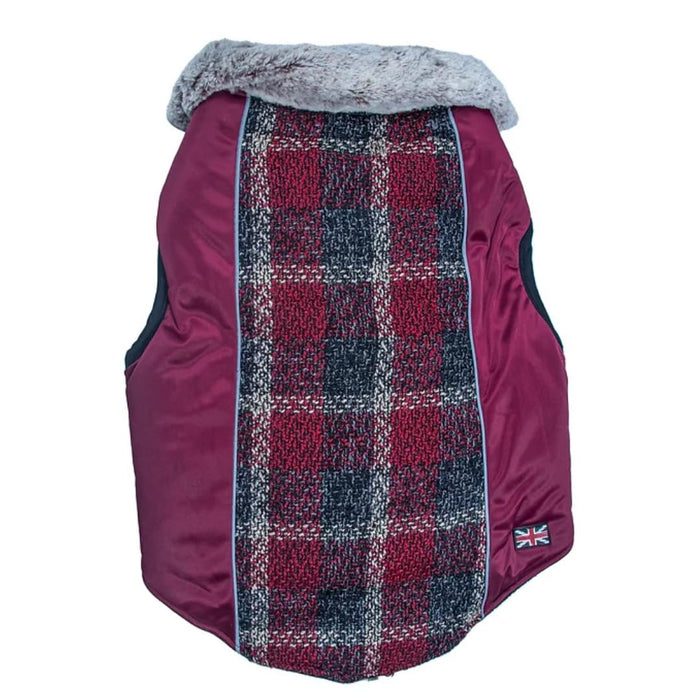Nootie Maroon Puffer Jacket for Dogs