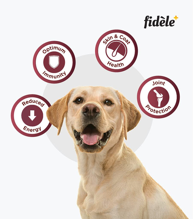 Fidele Dry Dog Food Adult Light & Senior 1-Kg
