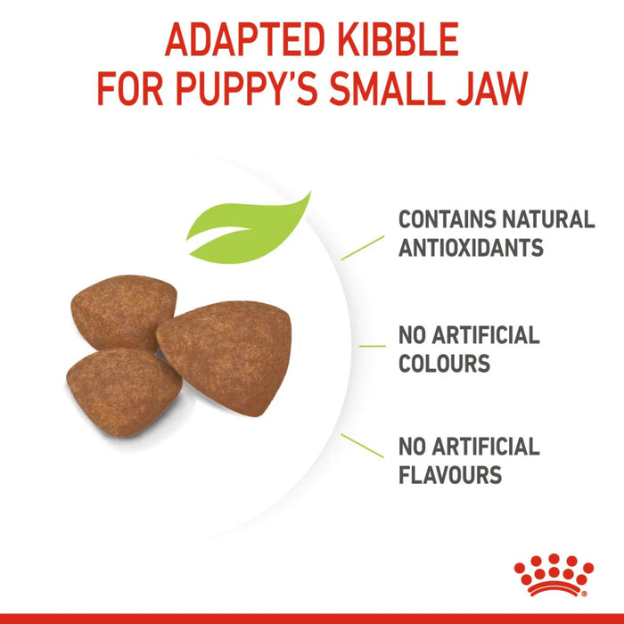 ROYAL CANIN MINI PUPPY 800GM