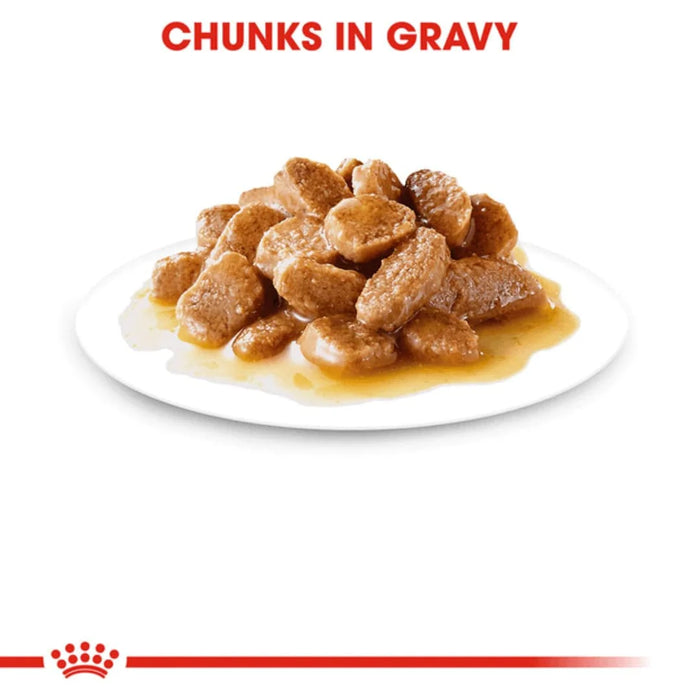 ROYAL CANIN MAXI ADULT GRAVY 140GM