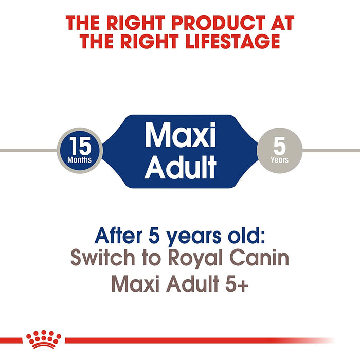 Royal Canin Maxi Adult 4KG X Nootie Gluten Free Dental Stix for Dogs,Treats for All Life Stages (Seaweed)