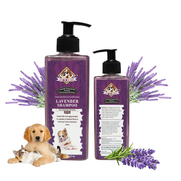 Nootie Dog Shampoo to Remove Dirt, Grime & Oil. Made with Natural Actives for A Cleaner, Smoother, Shinier Coat and Fragrance 100ml