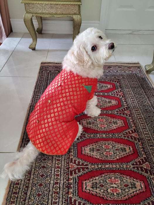 Nootie Check Print Designer Sherwani for Dogs, (Red Color)