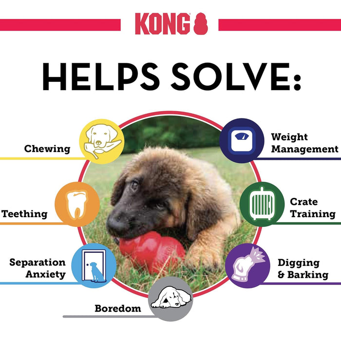 Kong Puppy Chew Toy