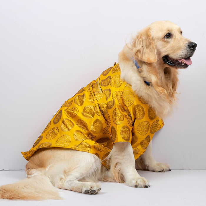 Nootie  Designer Sherwani for Dogs, (Yellow with Gold Print)