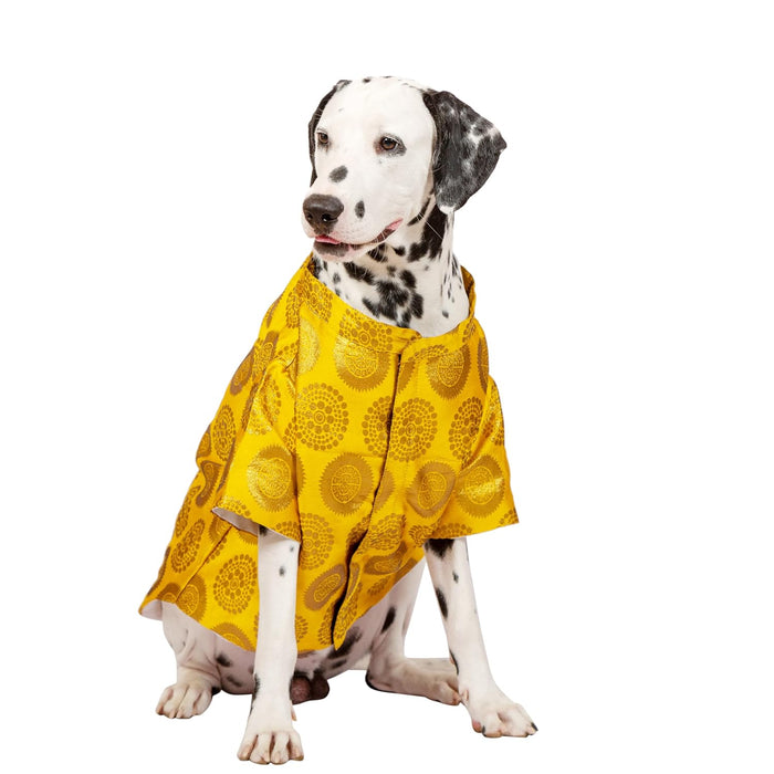 Nootie  Designer Sherwani for Dogs, (Yellow with Gold Print)