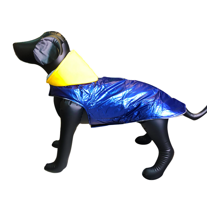 Nootie Blue Jacket with Yellow Hoodie for Dogs