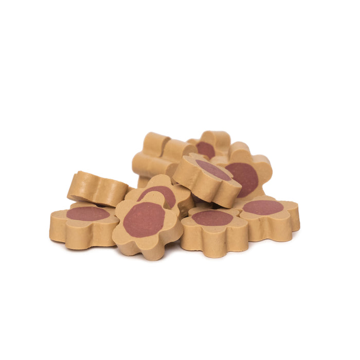 Nootie Gluten Free Dental Stix for Dogs,Treats for All Life Stages (Blueberry & Goat Milk)