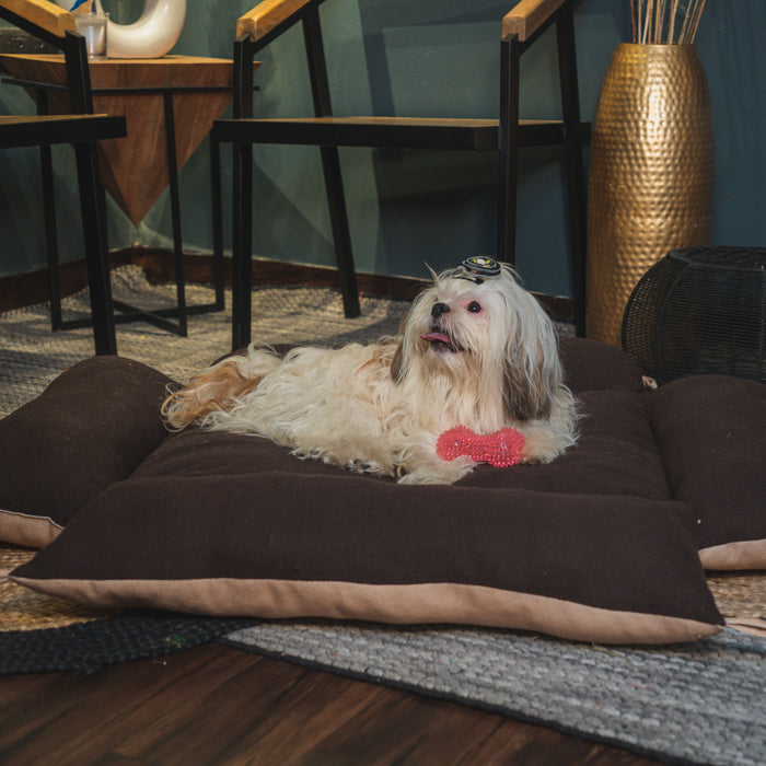 Nootie CozyBuddy Versatile Bed for Dogs  Convertible Longer Mattress - Brown & Light Brown Color