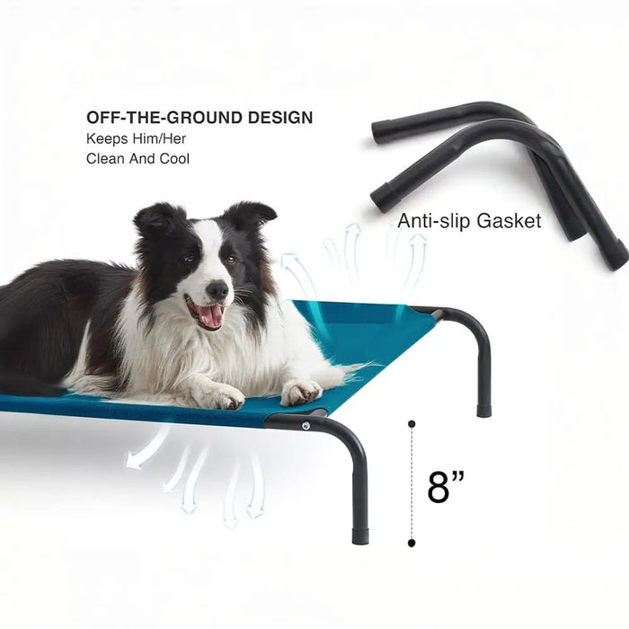 Nootie Elevated Dog Bed – Breathable Teslin Mesh, 9” Off The Ground for Optimal Airflow, Colors: Assorted, Medium -33x30x9 Inches