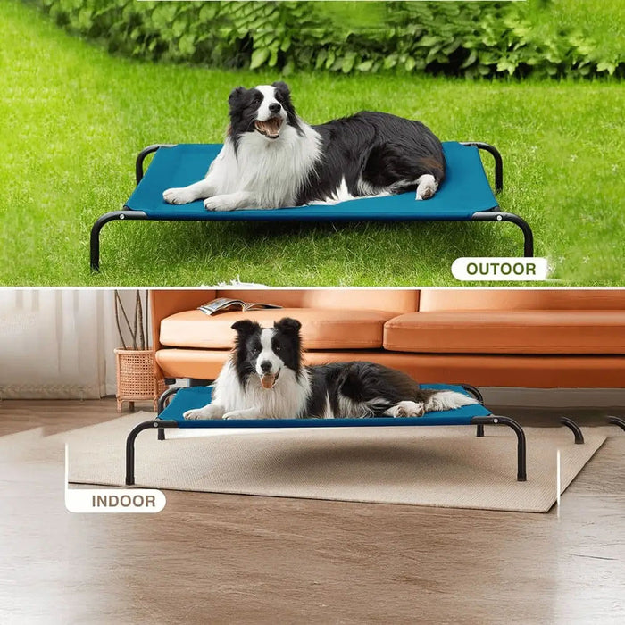 Nootie Elevated Dog Bed – Breathable Teslin Mesh, 9” Off The Ground for Optimal Airflow, Colors: Assorted, Medium -33x30x9 Inches