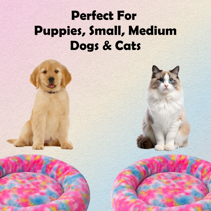 Nootie Donut Calming Cuddler Dog Bed – Rainbow Medium Plush Donut Bed (26" x 4.5") | Polyester Faux Fur + Polyfill | Hand & Machine Wash