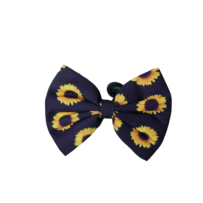 Nootie Fancy Dark Space Sunflower Collar Bow Tie