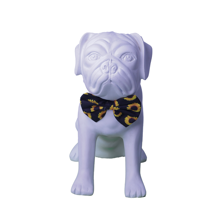 Nootie Fancy Dark Space Sunflower Collar Bow Tie