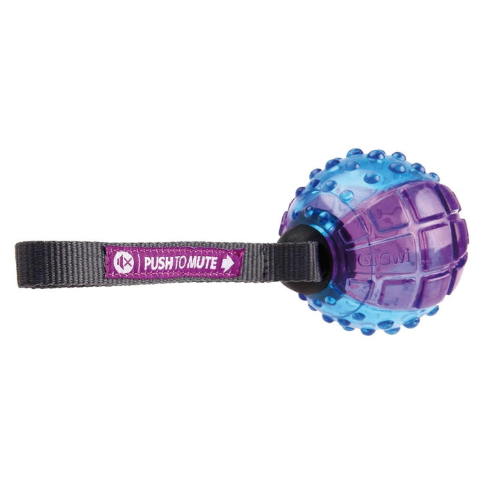 GiGwi Regular Ball 'Push to Mute' Transparent Purple/Blue, Medium