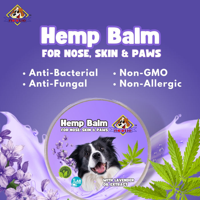Nootie Hemp Healing Balm For Dogs, ll100GM ll Heals tick bites, wounds, rashes, skin infections, warts & dry, flaky skin. Made with Organic Hemp Seeds Suitable for Cats & Dogs