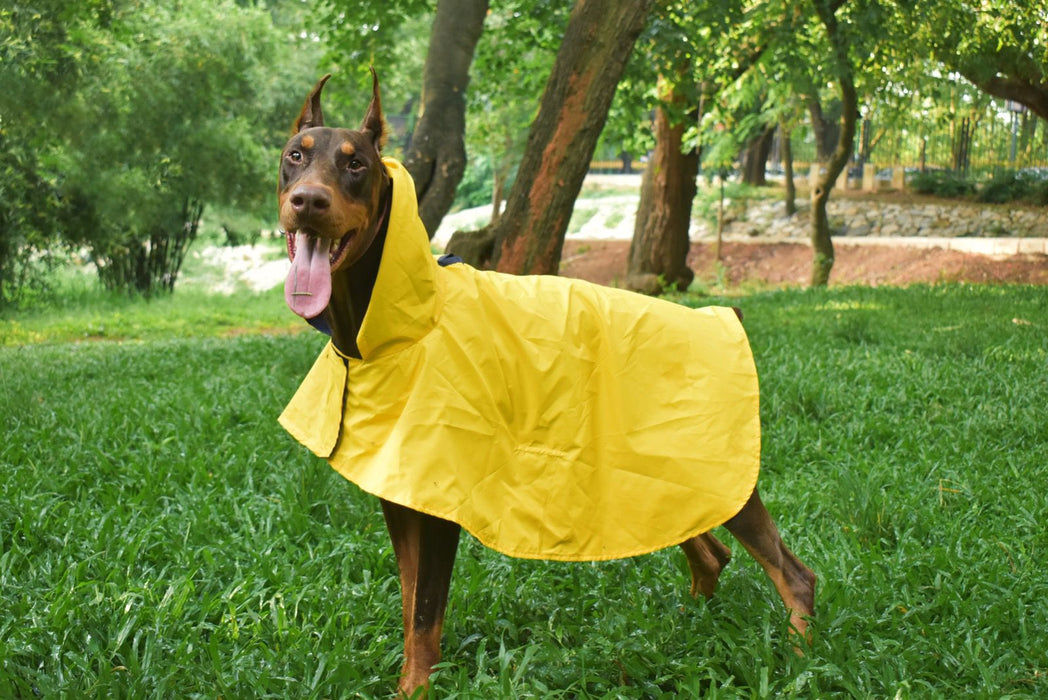 Nootie Yellow Raincoat for Dogs