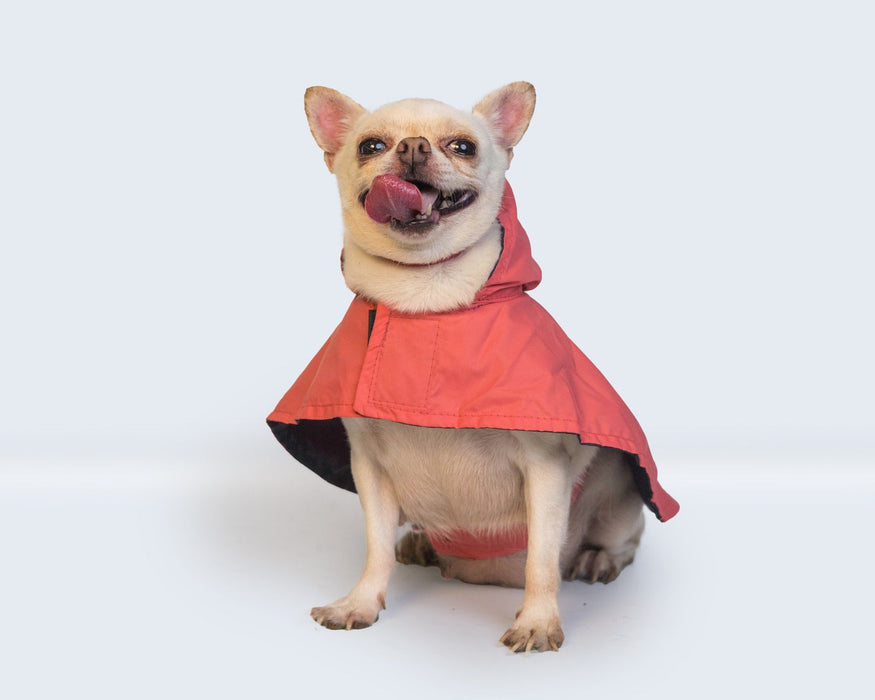 Nootie Red Raincoat for Dogs