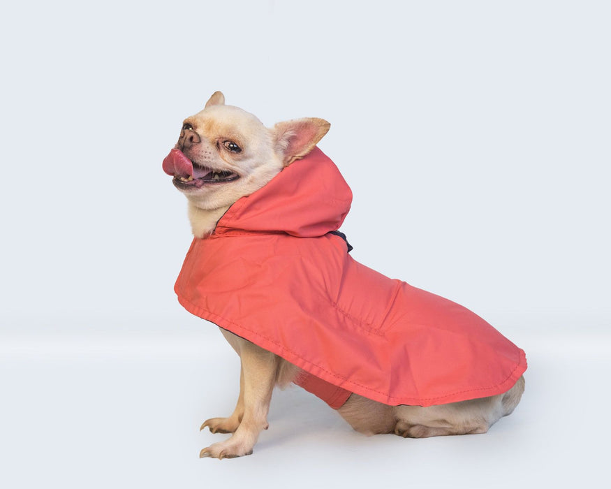 Nootie Red Raincoat for Dogs