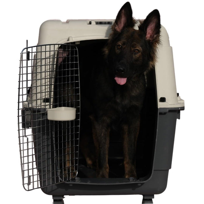 IATA APPROVED PET CARRIERS AND KENNELS