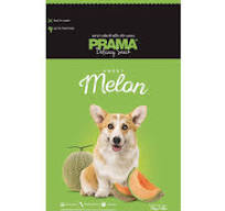 PRAMA MELON DOG TREAT 70GM